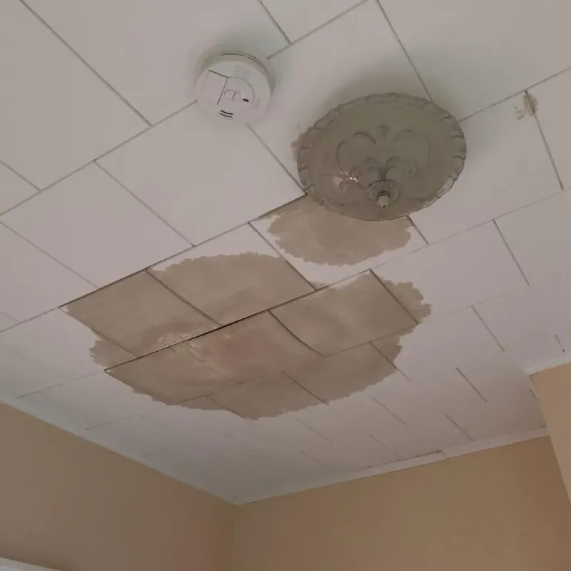 Ceiling Water Damage Repair in DeQuincy, LA