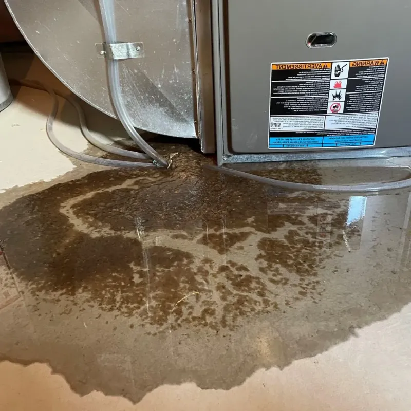 Pipe Burst and Leak Restoration in DeQuincy, LA