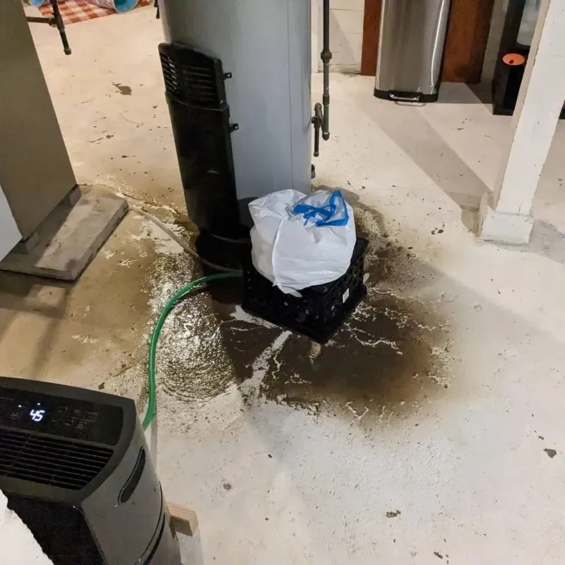 Sewage Backup Cleanup Service in DeQuincy, LA